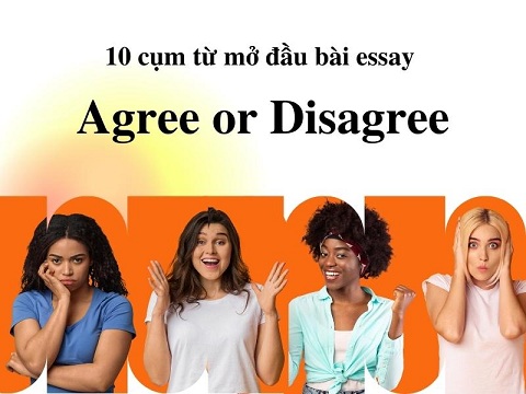 Các Cụm Từ Mở Đầu Essay: 60 Cụm Từ Nằm Lòng Ăn Điểm 3 10-cum-tu-mo-dau-bai-essay-agree-and-disagree-1