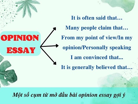 Các Cụm Từ Mở Đầu Essay: 60 Cụm Từ Nằm Lòng Ăn Điểm 4 mot-so-cum-tu-mo-dau-bai-opinion-essay-goi-y-1