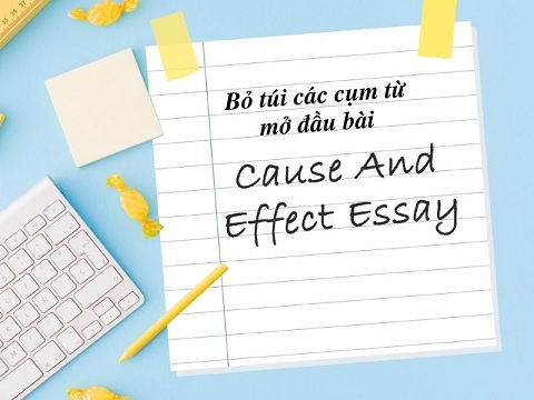 Các Cụm Từ Mở Đầu Essay: 60 Cụm Từ Nằm Lòng Ăn Điểm 7 bo-tui-cac-cum-tu-mo-dau-bai-cause-and-effect-essay