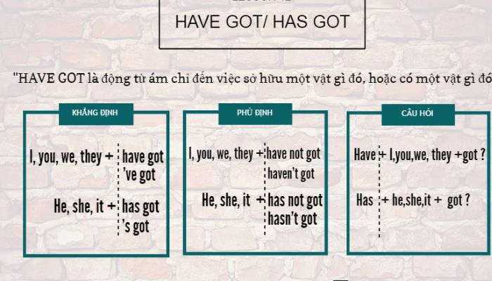 Cách sử dụng “ have” và “ have got” trong tiếng Anh 1 Have got và has got